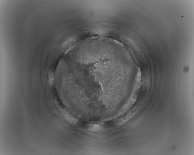 X0000097650285200803142116