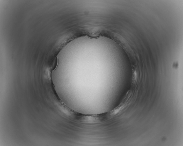 X0000097650286200803142116