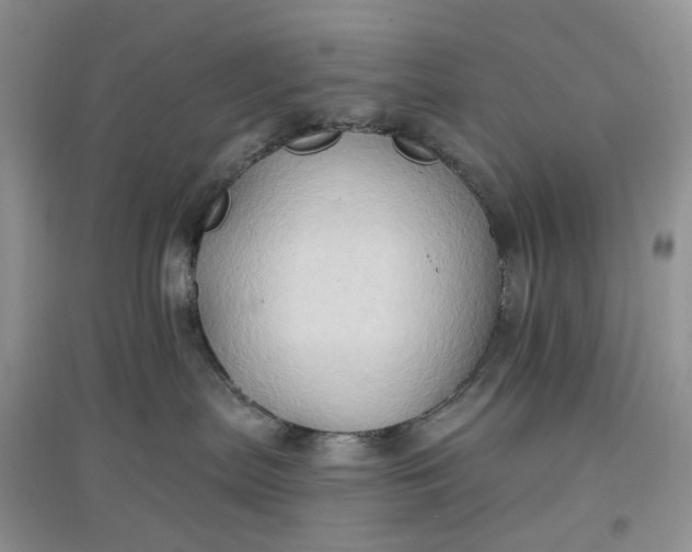 X0000097650287200803142116