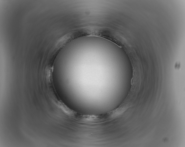 X0000097650288200803142116