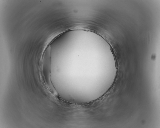 X0000097650289200803142116