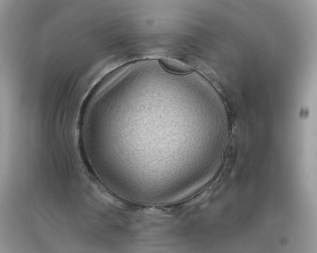 X0000097650290200803142116