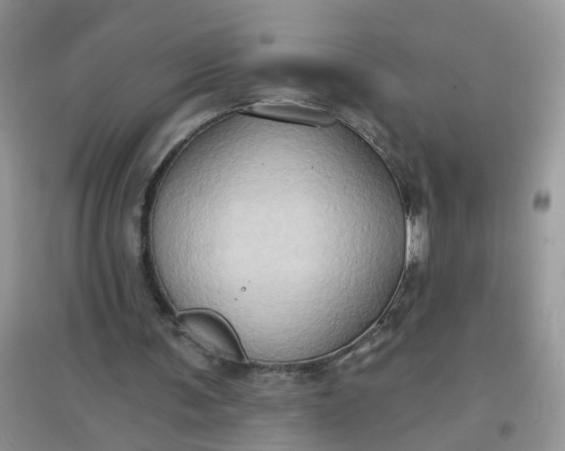 X0000097650291200803142116