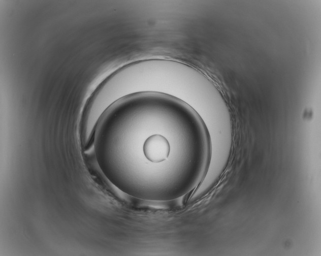 X0000097650292200803142116