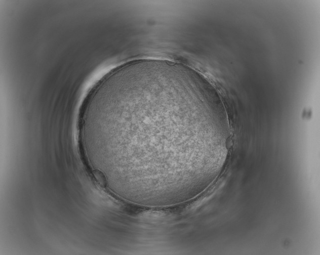 X0000097650294200803142116