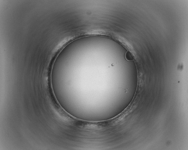 X0000097650298200803142116