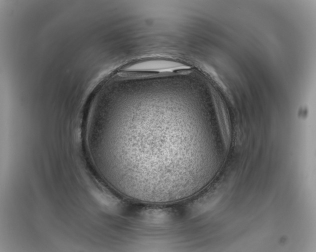 X0000097650299200803142116