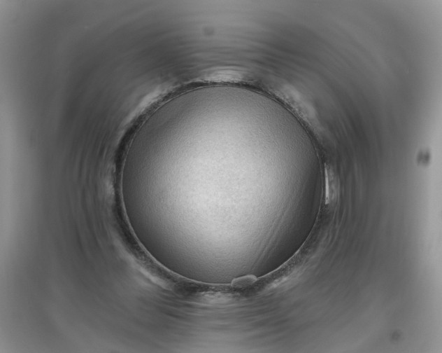 X0000097650300200803142116