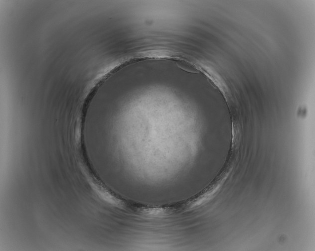 X0000097650301200803142116