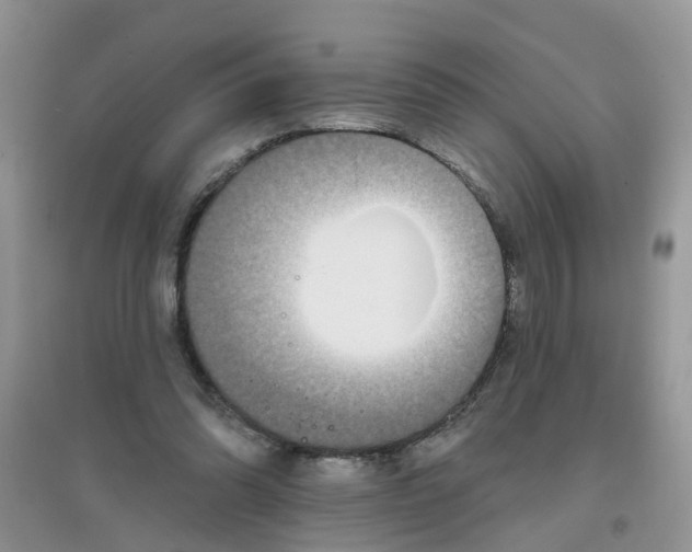 X0000097650302200803142116