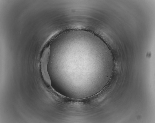 X0000097650304200803142116