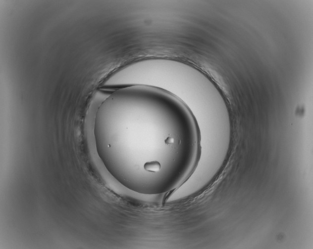 X0000097650305200803142116