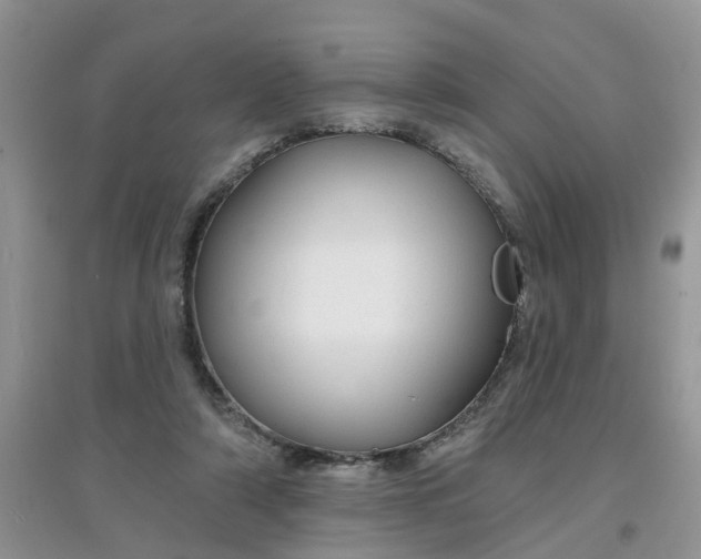 X0000097650306200803142116