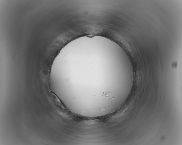 X0000097650307200803142116