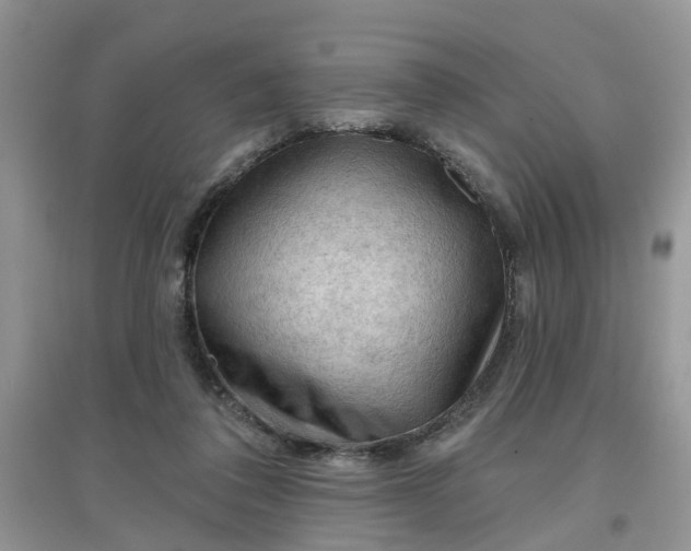 X0000097650308200803142116