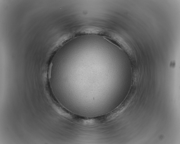 X0000097650309200803142116