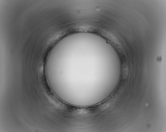 X0000097650310200803142116