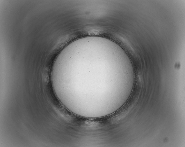 X0000097650311200803142116