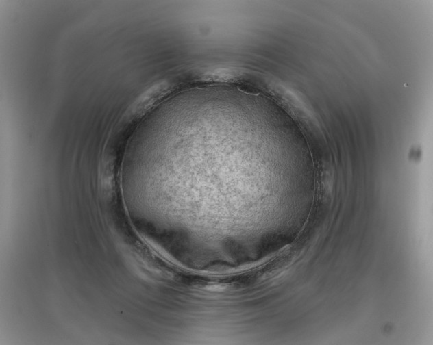 X0000097650312200803142116