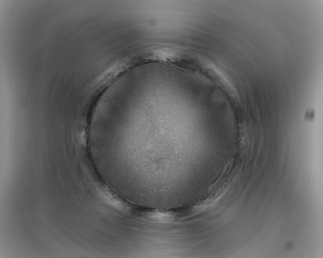 X0000097650313200803142116