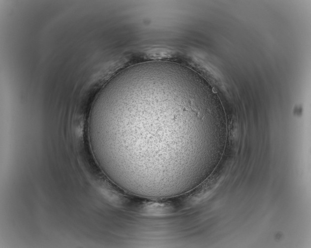 X0000097650315200803142115