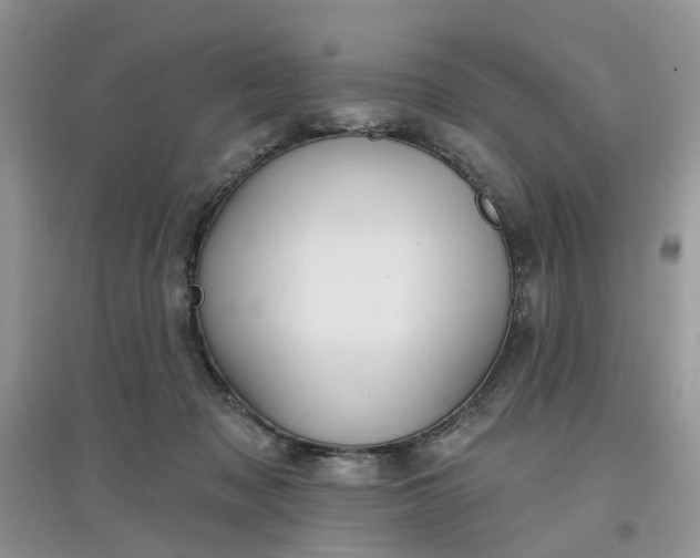 X0000097650317200803142115