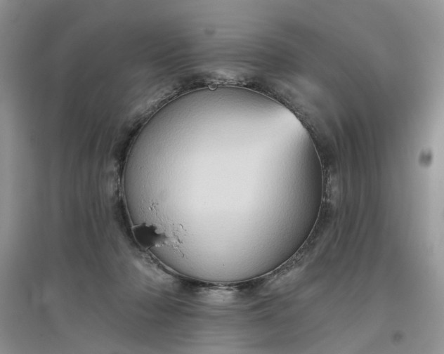 X0000097650318200803142115