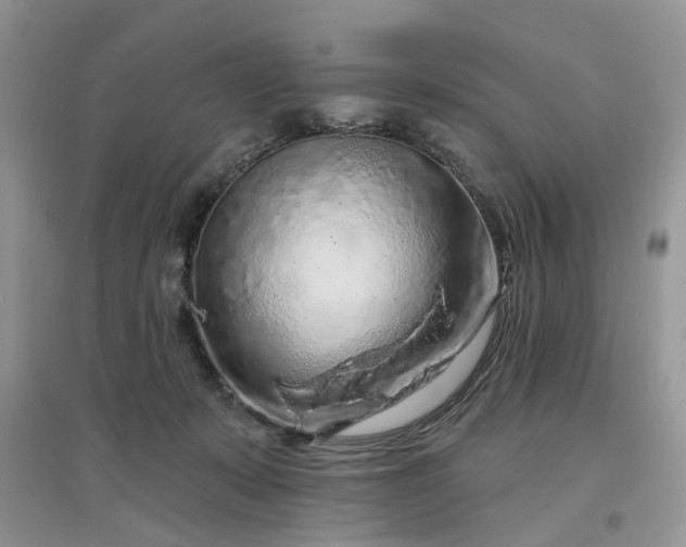 X0000097650319200803142115