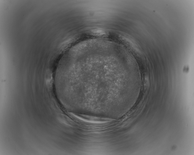 X0000097650320200803142115