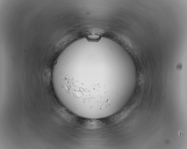 X0000097650321200803142115