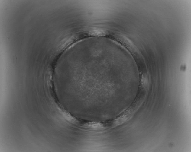 X0000097650322200803142115