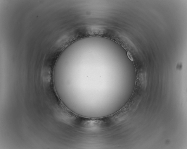 X0000097650323200803142115