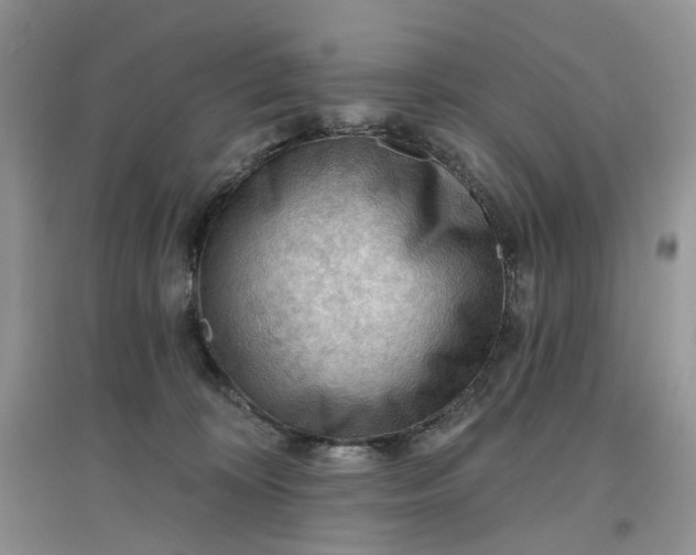 X0000097650324200803142115