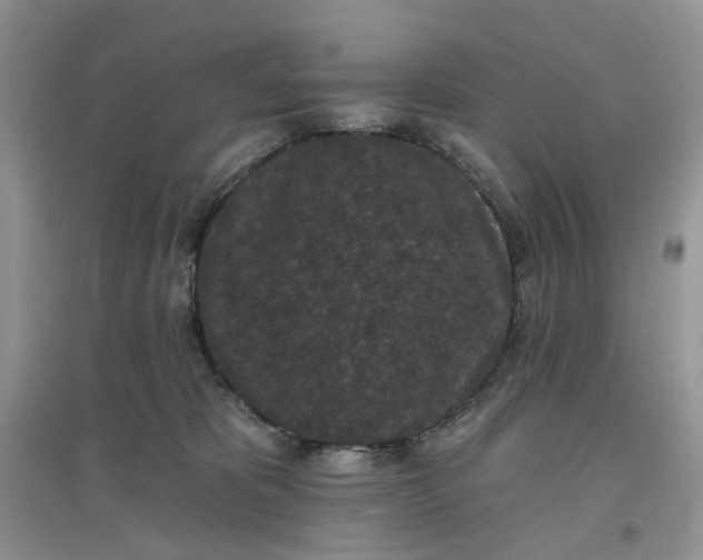 X0000097650325200803142115