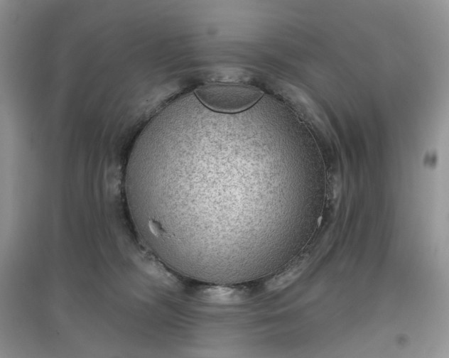 X0000097650326200803142115