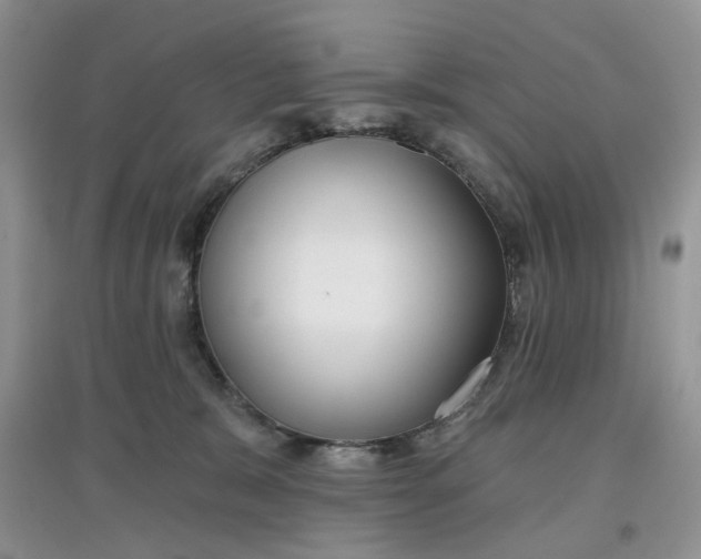 X0000097650327200803142115