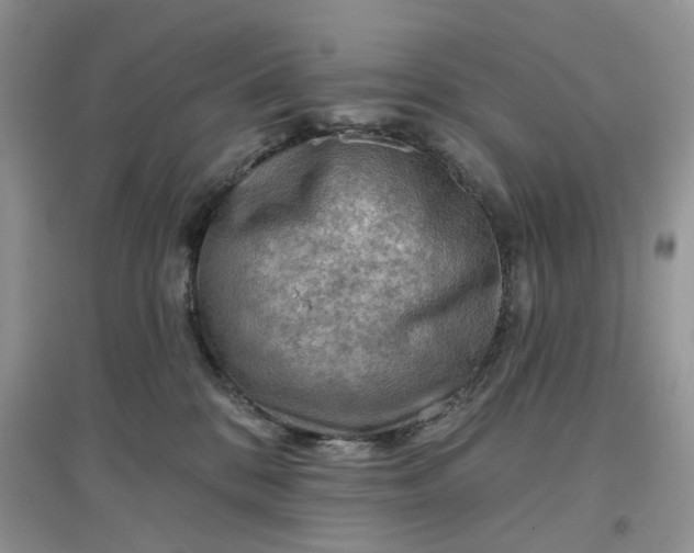 X0000097650328200803142115