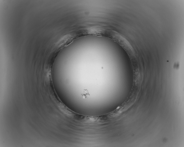 X0000097650329200803142115