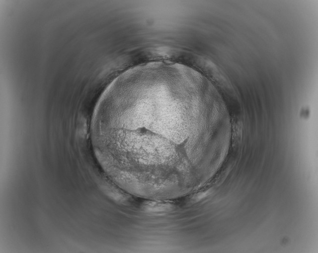 X0000097650331200803142115