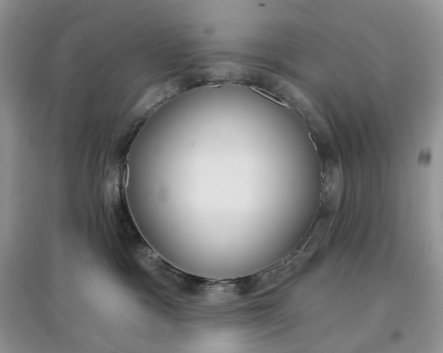 X0000097650333200803142115