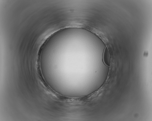 X0000097650338200803142115