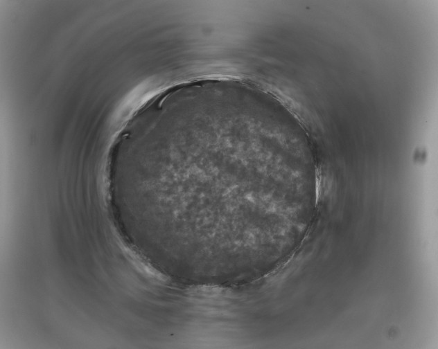 X0000097650339200803142115