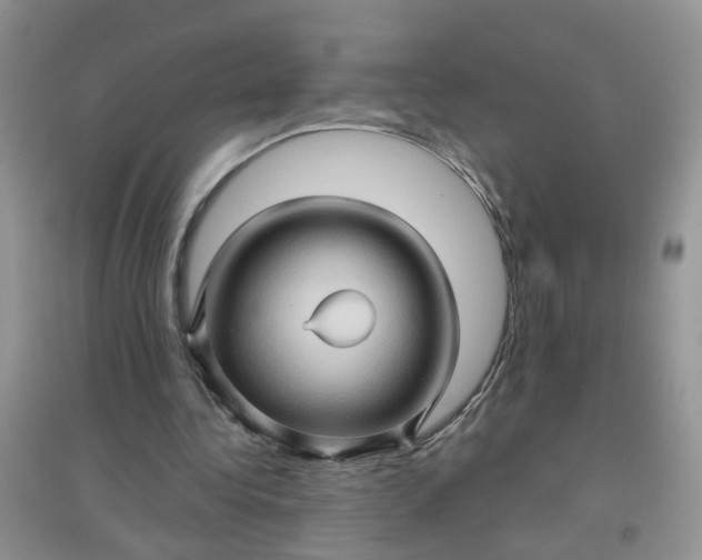 X0000097650340200803142115