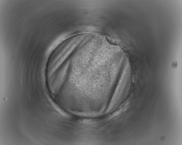 X0000097650341200803142115