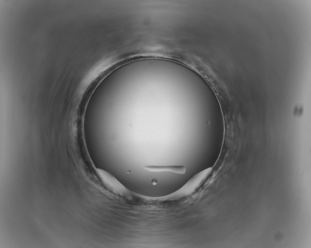 X0000097650344200803142115