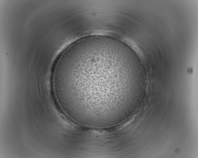 X0000097650346200803142115