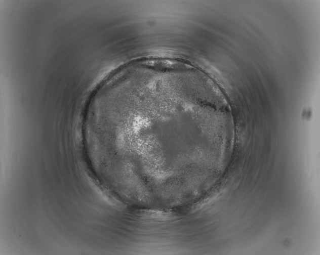 X0000097650347200803142115