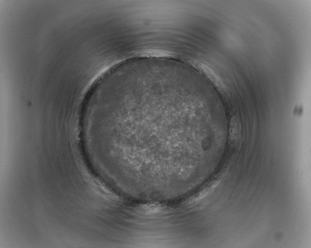 X0000097650351200803142115