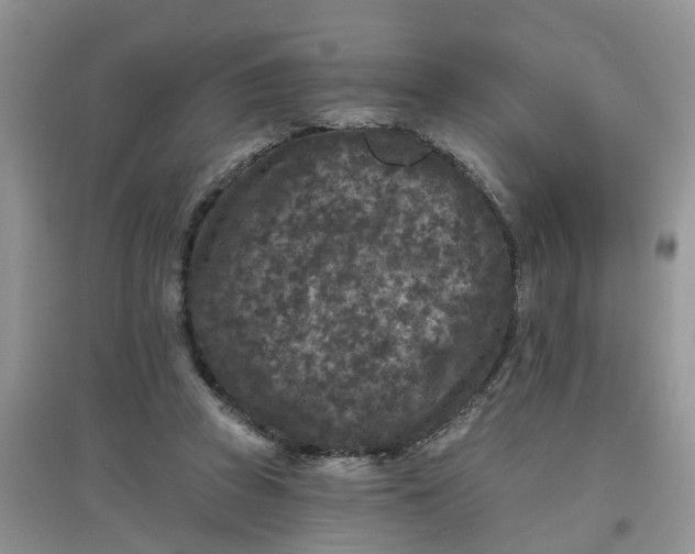 X0000097650353200803142115