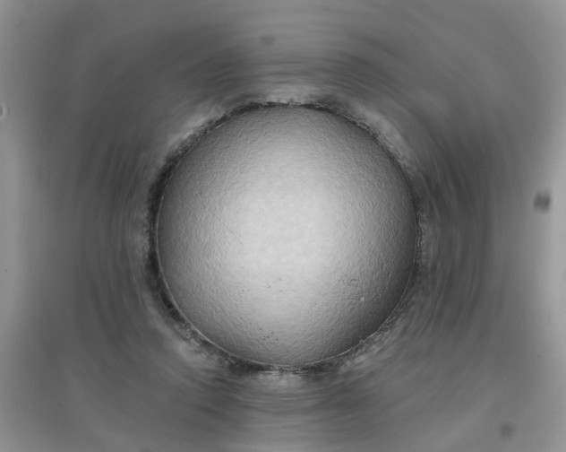 X0000097650354200803142115